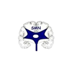 18-SMN-1-300x300-removebg-preview